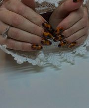 L'Ilot Vénus image 4