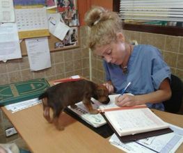 Centro Veterinario Ifach imagen 9