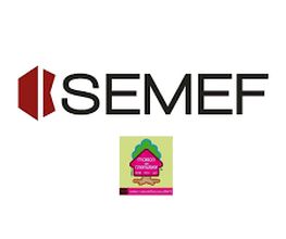 Semef Alkahest image 15