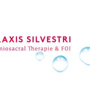 Praxis Silvestri Craniosacral Therapie & FOI in Baden Bild 7