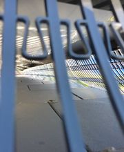 Taubenschutz & Consulting Bild 9