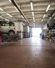 Gallery Professionale