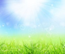 C PURE DISTRIBUTION image 3
