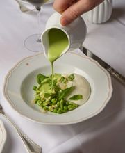 Green sauce poured over a refined pea and herb dish at a white-tablecloth restaurant.