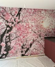 Stöckli Malergeschäft und Spritzwerk Bild 8