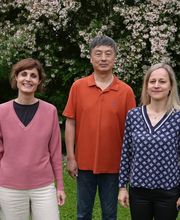 Praxis Dr. med. CHEN | Akupunktur und TCM | FMH Orthopädie Bild 14