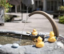 Alters- und Pflegeheim Böndler Bild 3