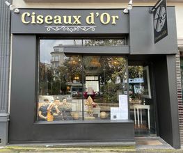 Ciseaux d'Or image 4