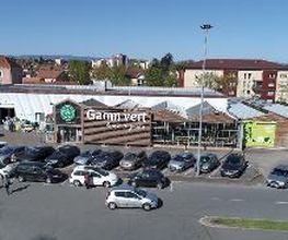 GAMM VERT image 3