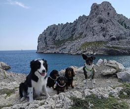 Ozzy & Co image 5