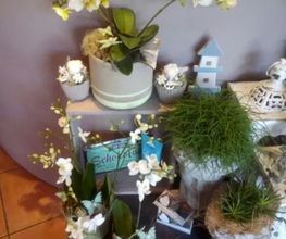 Blumenboutique Ursula Bild 5