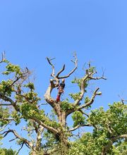 Tachet Pierre-Hubert image 2