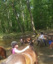 Ecurie des Vieilles Ventes image 1