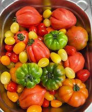 CATERING PASSION GmbH Bild 8