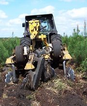 ALLIANCE Forêts Bois image 4