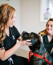 Twin Oaks Veterinary Clinic image 14