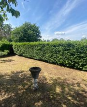 NG SERVICES BERLIN Bild 1