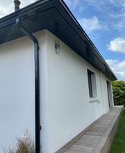 Dorquelle Vincent image 9