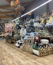 Centrakor / Zoé Confetti Argences image 4