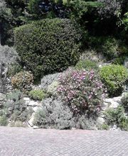 BOURJAC ELAGAGE image 8