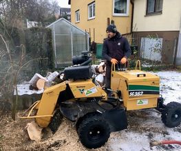 Baumkonzept GmbH Bild 3