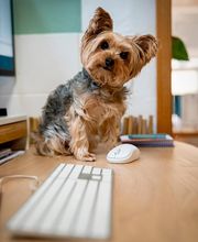 circa zwei GmbH Bild 11