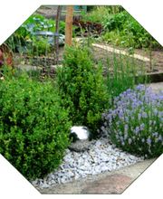 Gartenwelt Kröner Bild 1