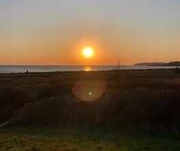 Super Hundeurlaub Bild 13
