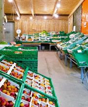 Duay Bernard Bild 10