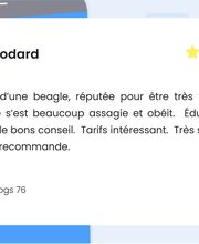 Amis Dogs 76 image 7