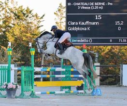 Haras Des K image 1