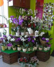 La Boutique Fleurie image 10