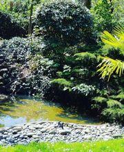 Terr'eau image 9