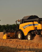 Dupuy Et Fils image 2