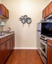 Arbour Square Apartment Kitchen