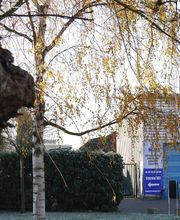 Belly Couverture image 7