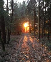 Fellschnack Bild 10