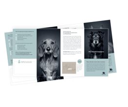 Werbeagentur concept your design Bild 27