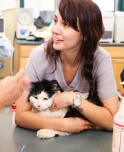 Indian Tree Animal Hospital image 5