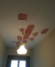 Shad Peinture image 2