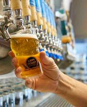 Left Coast Brewing Distillery Smokehouse - Ontario image 4