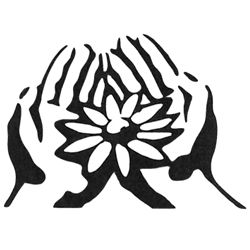 Bestattungen Munk GmbH