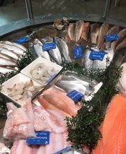 Vitrine met alle soorten vis