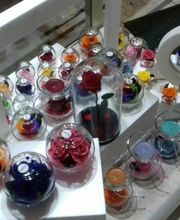 Gallery Cliente