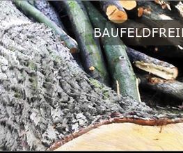 Baumdienst Schaller Bild 4