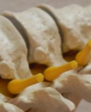 Physiotherapie Igelweid Bild 9