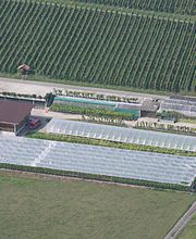 Auer Reben GmbH Bild 1