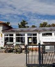 Landhandel Wiesenburg Bild 4