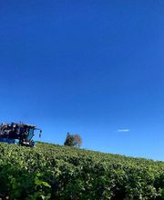 Domaine Denis Race image 2