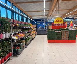 Lidl Bild 7